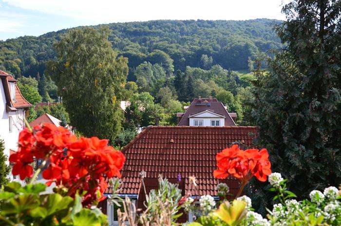 Villa Sonnenseite Jonsdorf 외부 사진